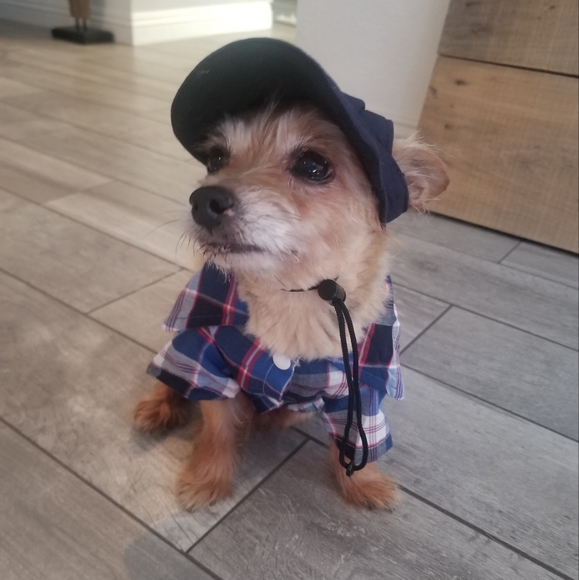 Meet your Posher, Mayra - Picture 10 of 10